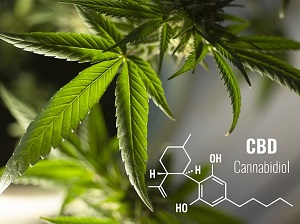 Cannabis CBD Gel